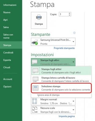 Selezione stampa