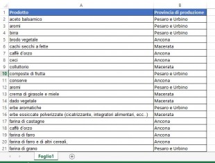 Dati di Excel con duplicati