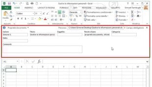 Il Riquadro documento si posiziona tra la barra multifunzione e l'area di lavoro