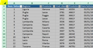 Cliccate sul pulsante Seleziona tutto per selezionare l'intero foglio di lavoro