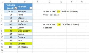 Un CERCA VERT con corrispondenza approssimativa