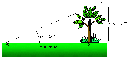 albero