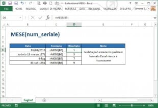 La funzione MESE
