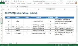 La funzione RICERCA