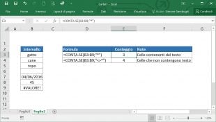 Contare celle che contengono testo