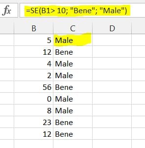 la-funzione-se-di-excel-un-esempio