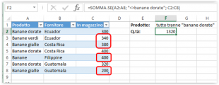 Esempio di formula Somma se diverso da