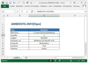 La funzione AMBIENTE.INFO