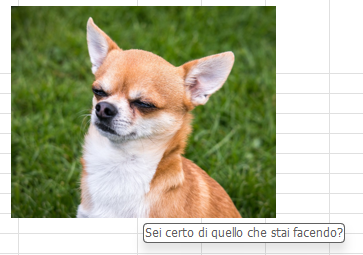 Come mostrare commenti pop-up per le immagini 2